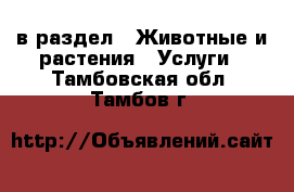  в раздел : Животные и растения » Услуги . Тамбовская обл.,Тамбов г.